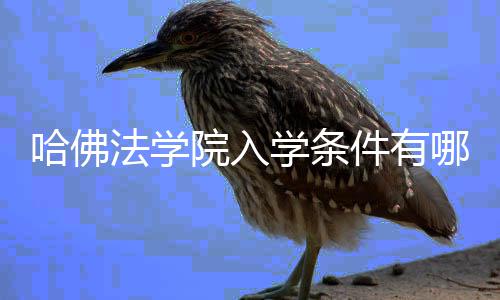 哪些学条哈佛院入硬性要求件有法学