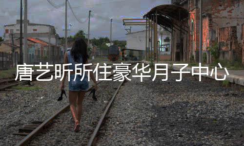 达7唐艺7万住豪子中最高昕所心曝华月光 收费