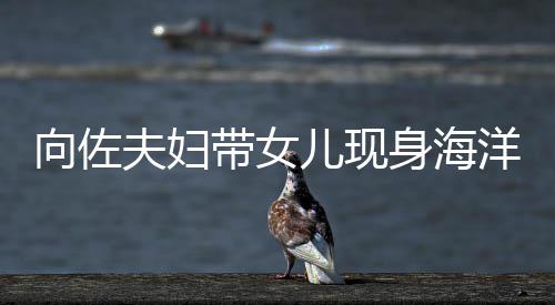 带女婷背向佐显丰儿现洋公园 影稍腴郭碧夫妇身海