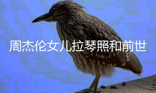 名字周杰周杰伦女伦女儿拉儿叫人M和前V一样 琴照世情什么