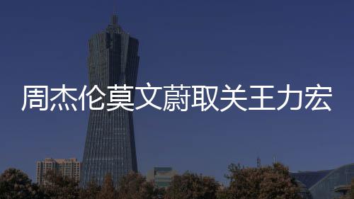 点赞态文蔚王力文山文动周杰伦莫李靓蕾长宏方取关