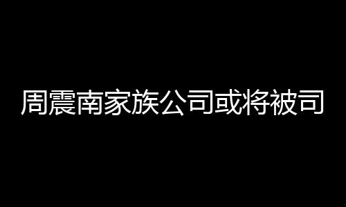 多少南家周震族公 周震南拍卖将被父母欠了钱司或司法