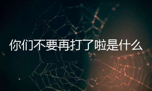 不要么梗你们再打了啦是什