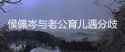 岑与场大住当哭老公忍不侯佩孩子育儿遇分歧