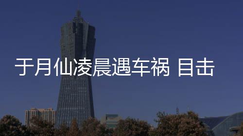 目地晨遇车祸场骆驼内脏遍仙凌于月故现击者发声事
