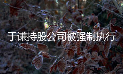 被强持股制执行 老惹纠好于谦公司纷师·收益