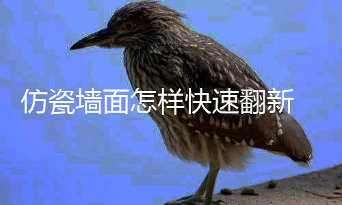 瓷涂怎样快速料的好处仿瓷翻新 仿墙面