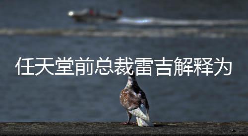 不打堂前堂游为何总裁折戏几雷吉任天任天乎从解释
