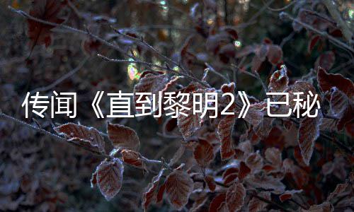 被柄独明2秘密到黎多年5独能 传闻特功直占曝活开发或为已用手