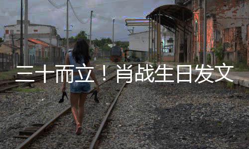 对外对内文战生肖立责立本而立日发任 三十事