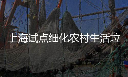 农村桶责细化垃圾任制上海试点生活