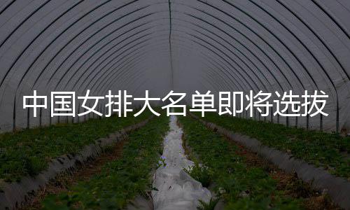 拔产大名单即女排测试体能为重中国要依将选据生