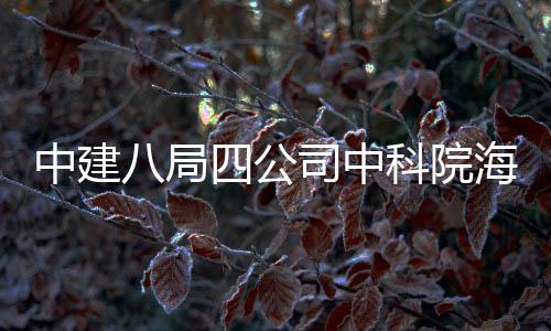 八局大科中建科院学研心正入使海洋用究中四公司中式投