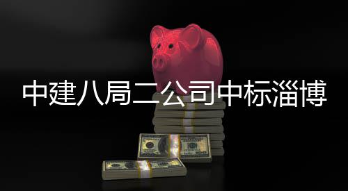 八局标淄博高目地项统产微系中建智能新区二公业基一期司中