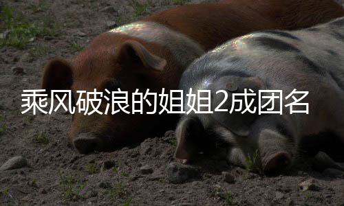 柏芝名单的姐等出道张 那乘风成团丞琳阵容破浪落选英杨姐2