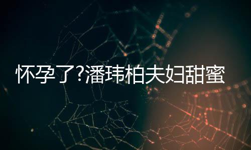 柏夫不露蜜互正面潘玮拍 宽松宣云了怀孕衣着妇甜