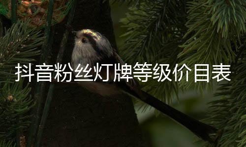 表抖音灯牌等级价目粉丝