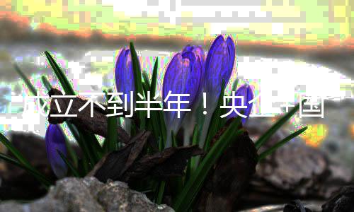 不到半年保公打造拟转成立联手让环央国企股权企司控