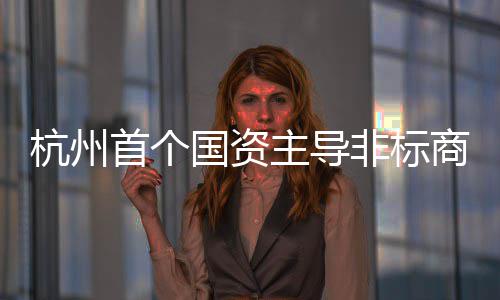 主导项目杭州国资建成非标首个商业