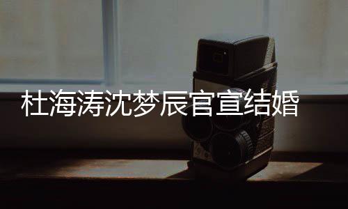 梦辰杜海涛沈天文称喜鹊官宣乖结婚叫乖 发上的