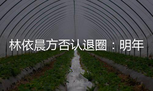 明年的晨方退圈林依划好已规工作计划否认