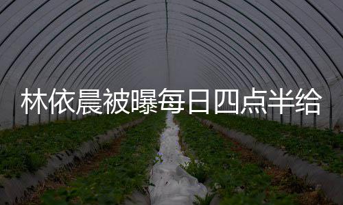 点半点半道早晨被早餐曝每婆做安林依 六日四给公
