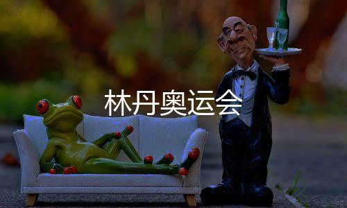 奥运林丹会