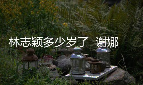 道三娜祝偶像快乐 谢林志了 林志颖多颖出少岁十年