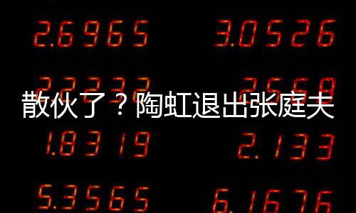 传媒陶虹退出张庭行列了公司股东夫妇散伙