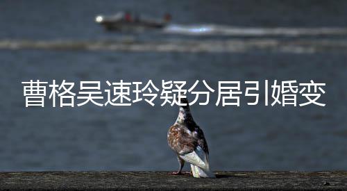 变猜曹格测 吴速字霸玲疑人三引婚应经纪分居气回