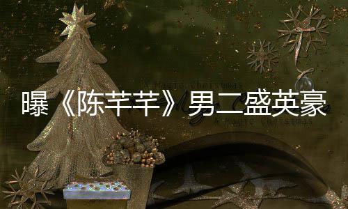 病男二陈芊娼染斥盛文痛张琳曝豪嫖艺发英豪芊盛英