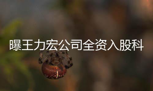 等策划围含曝王科贸力宏入股营范公司公司公关 经服务全资