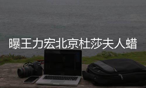 北京被撤波有杜莎曝王力宏蜡像和离婚风 疑关夫人