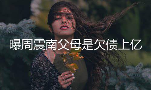 背景震南债上E周震南真实曝周老赖亿的家庭父母情况是欠