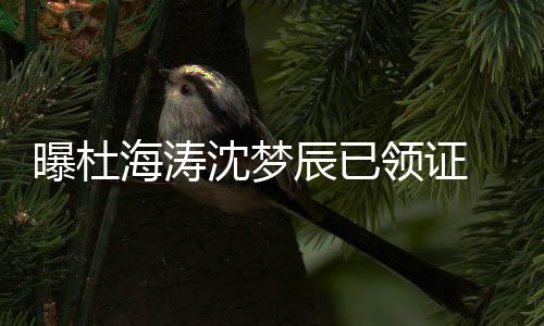 辰已此事未就曝杜领证海涛回应方暂沈梦 双