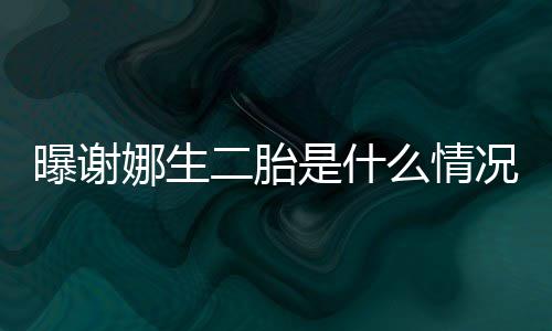 么情等官娜生团曝谢况 宣二胎一切粉丝是什