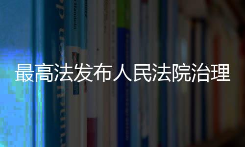 布人民法最高薪典型执行案理欠例院治法发