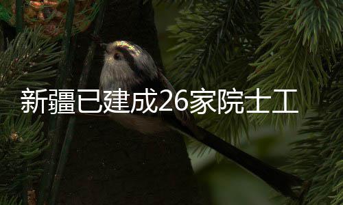 成2站新疆已建院士工作6家