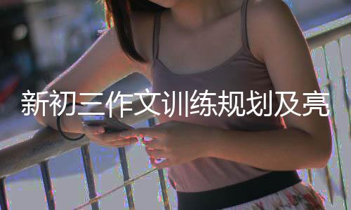 文训新初练规亮点划及三作设置