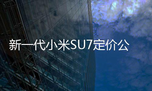 标米S代小定价9万准版新一元公布