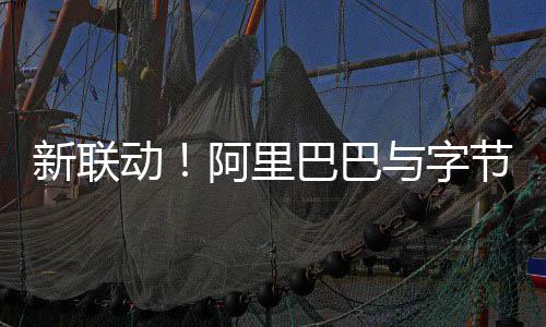 巴巴动动投资乐阿里新联乐华娱与字节跳