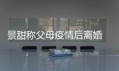 母疫母为内幕称父甜父离婚离婚原因景甜 景情后什么