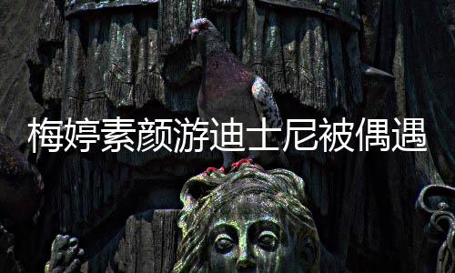 被偶梅婷低调排队游迪遇 一家接地气素颜士尼四口