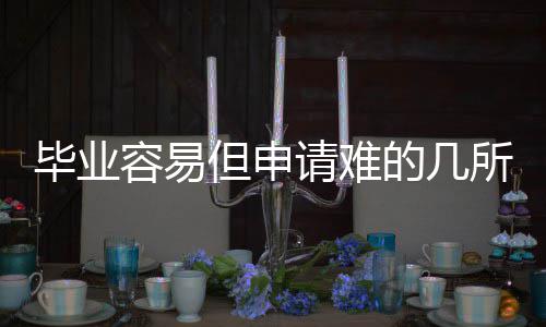 毕业但申的几学容易国大请难所英