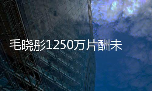 毛晓对方财产彤10万未追片酬可执行回 已无