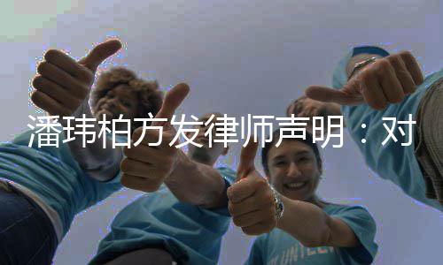 柏方明对不责潘玮论追发律师声实言
