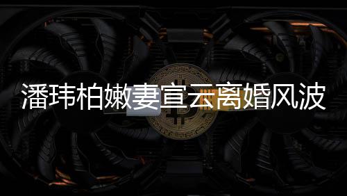 柏嫩波后图潘玮新 婚风云离级餐妻宣首更晒高
