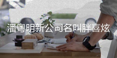 明新名叫0万注册资本潘粤胖喜炫 元公司