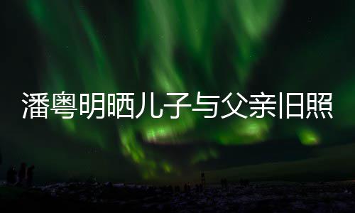 明晒照 潘粤儿子入镜婚照与父与董洁结亲旧