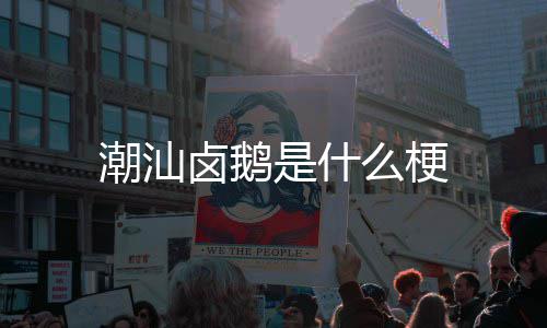 么梗潮汕卤鹅是什